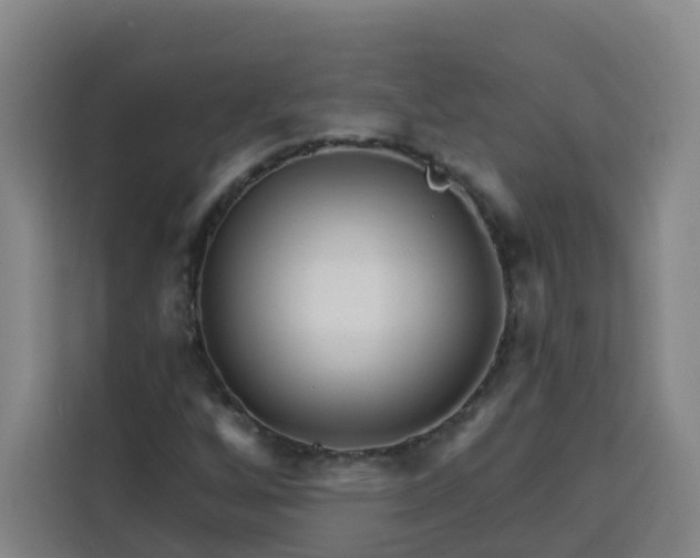 X0000113531256200910021322