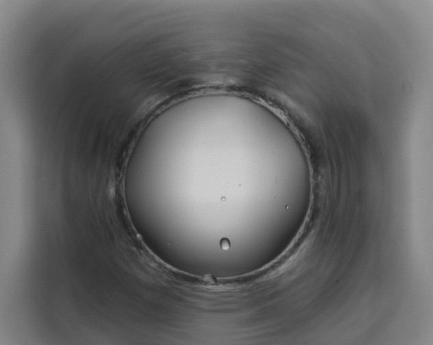 X0000113531257200910021322