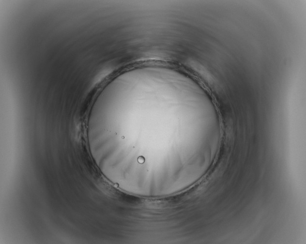 X0000113531258200910021322