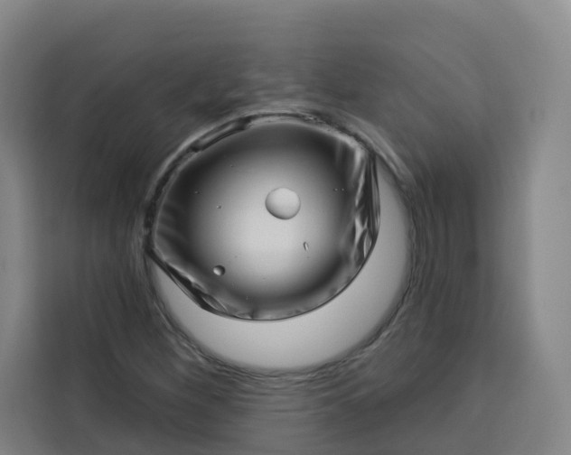 X0000113531260200910021322