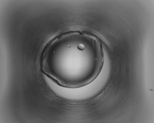 X0000113531261200910021322