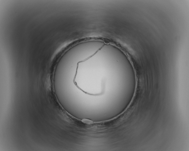 X0000113531262200910021322