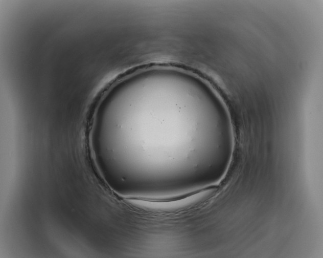 X0000113531263200910021322