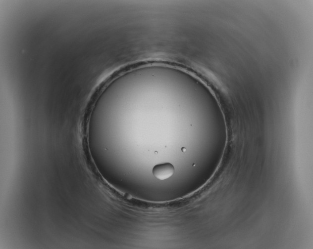 X0000113531264200910021322