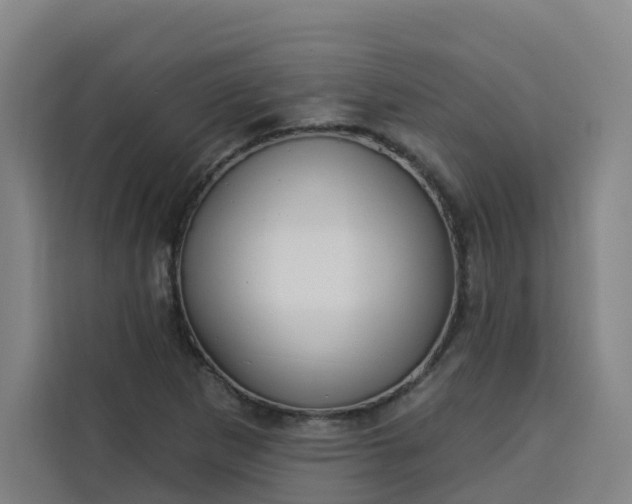 X0000113531265200910021322