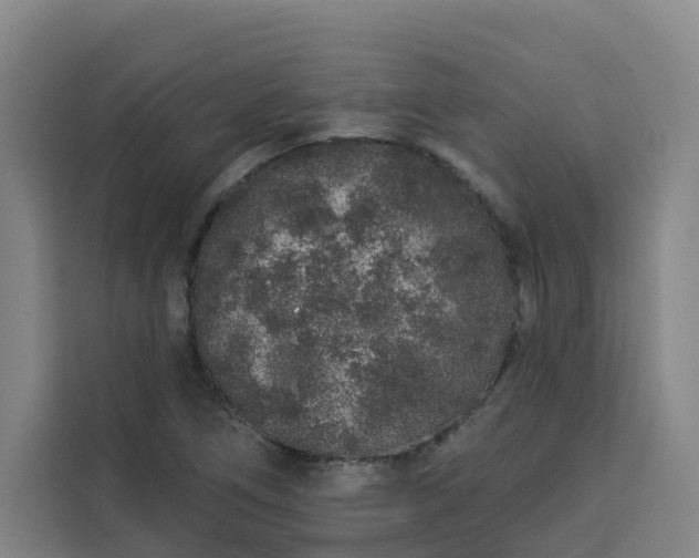 X0000113531266200910021322