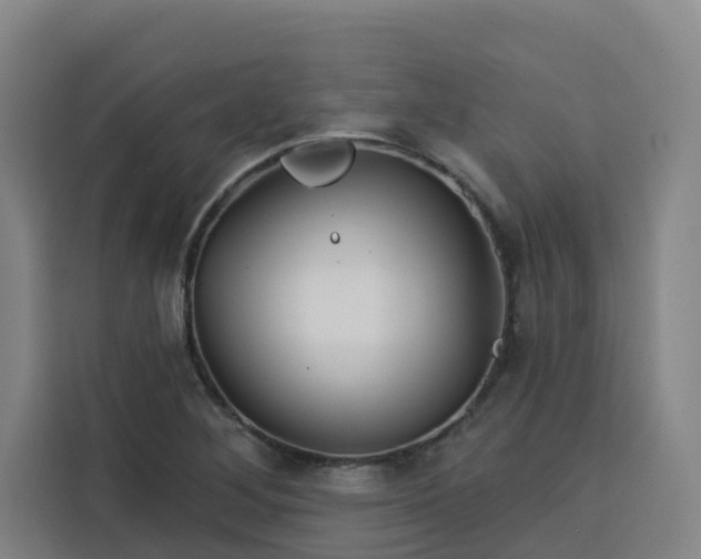 X0000113531268200910021322