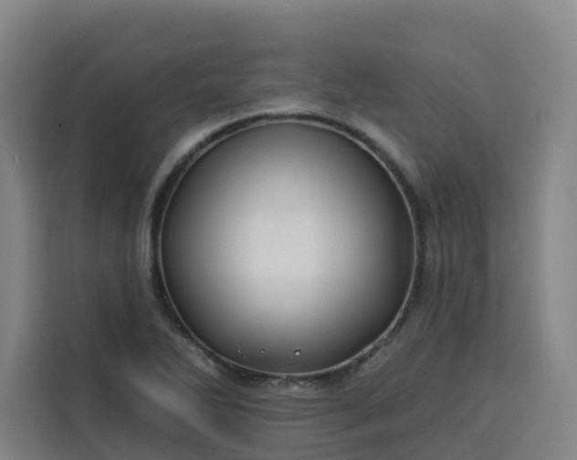 X0000113531270200910021322