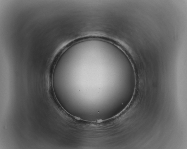 X0000113531271200910021322