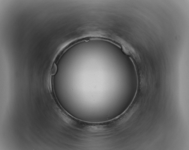 X0000113531272200910021322