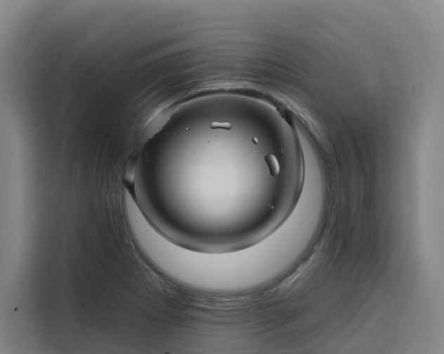 X0000113531273200910021322