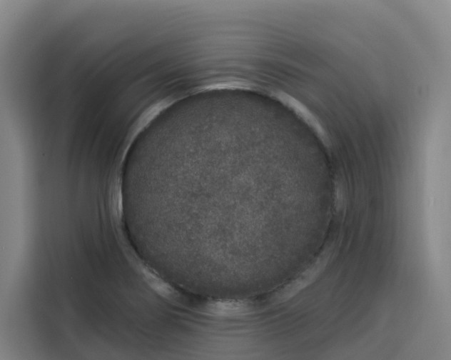 X0000113531274200910021322