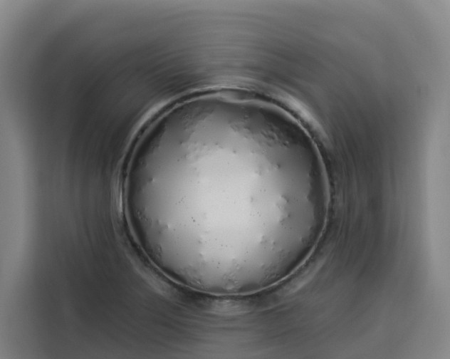 X0000113531275200910021322