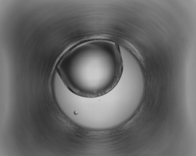 X0000113531276200910021322