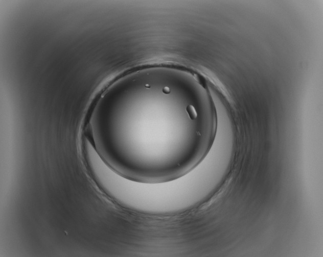 X0000113531277200910021322