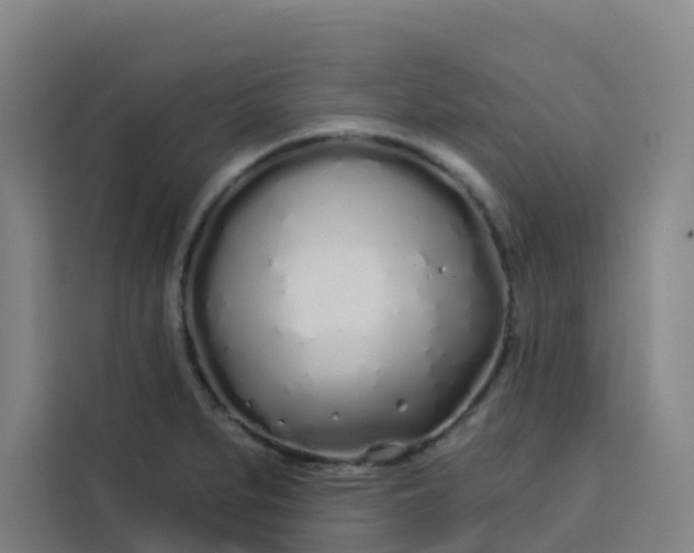 X0000113531279200910021322