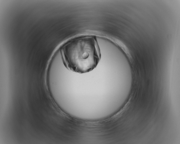 X0000113531280200910021322