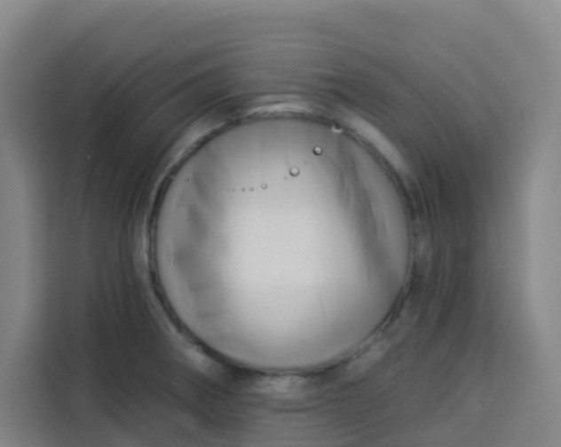 X0000113531282200910021322