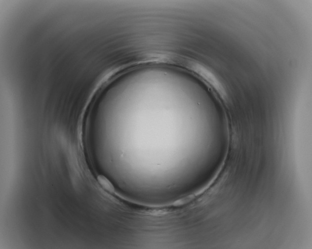 X0000113531283200910021322