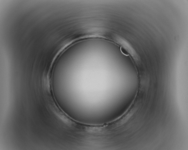 X0000113531284200910021322