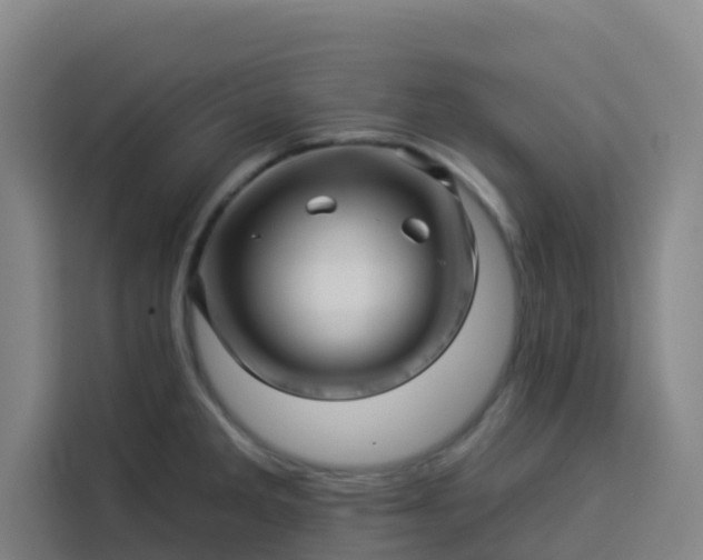 X0000113531285200910021322