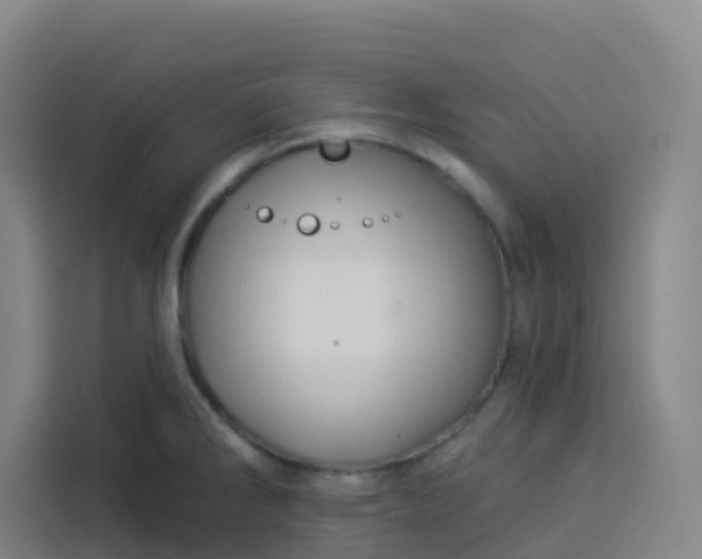 X0000113531286200910021322