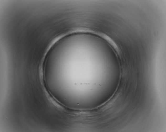 X0000113531287200910021322