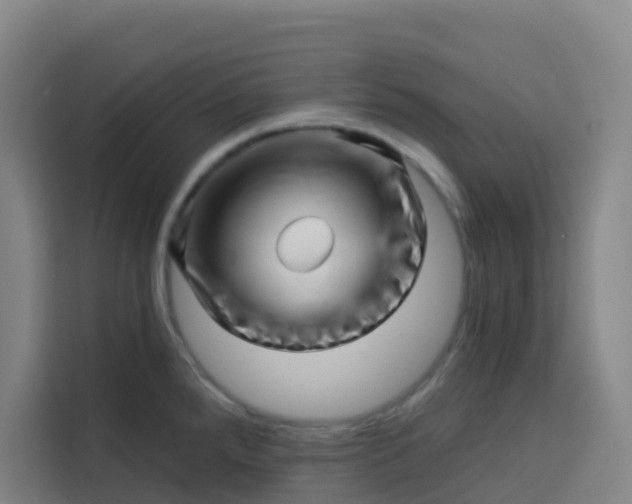 X0000113531288200910021322