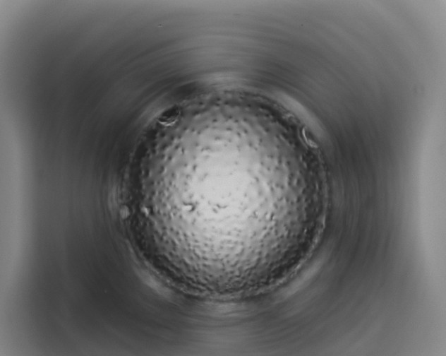 X0000113531289200910021322