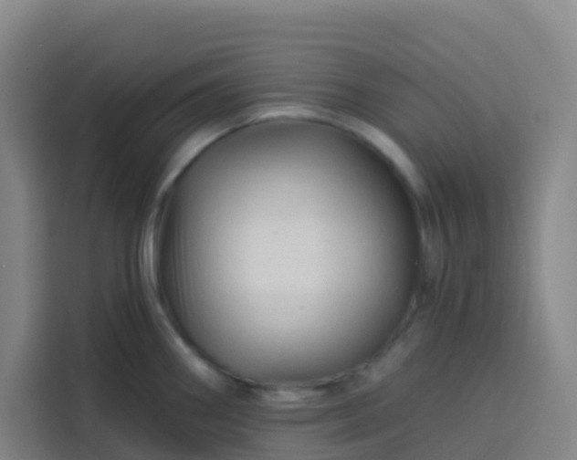 X0000113531290200910021322