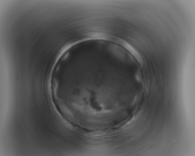 X0000113531291200910021322