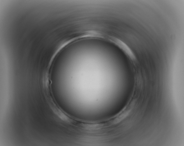 X0000113531292200910021322