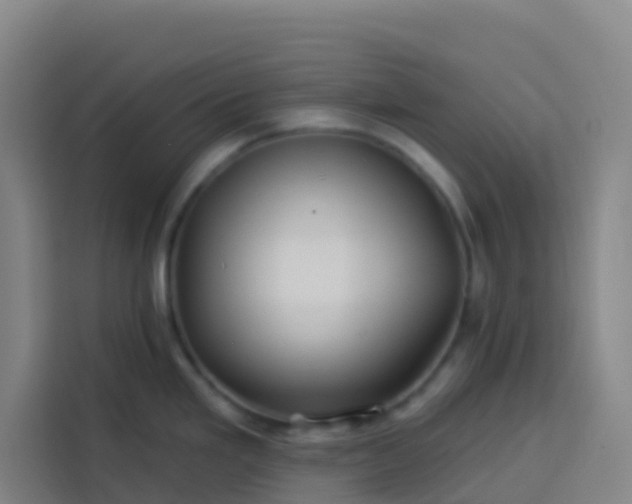 X0000113531293200910021322