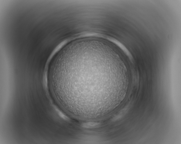 X0000113531294200910021322