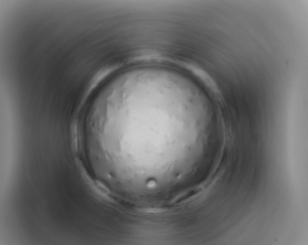 X0000113531295200910021322