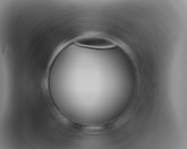 X0000113531296200910021322