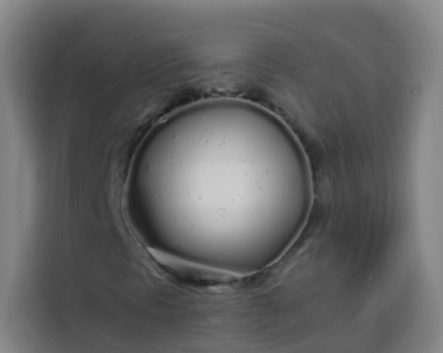 X0000113531297200910021321