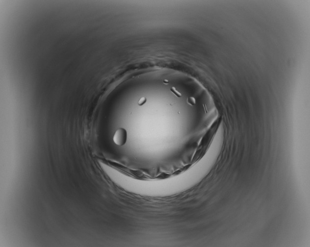 X0000113531298200910021321