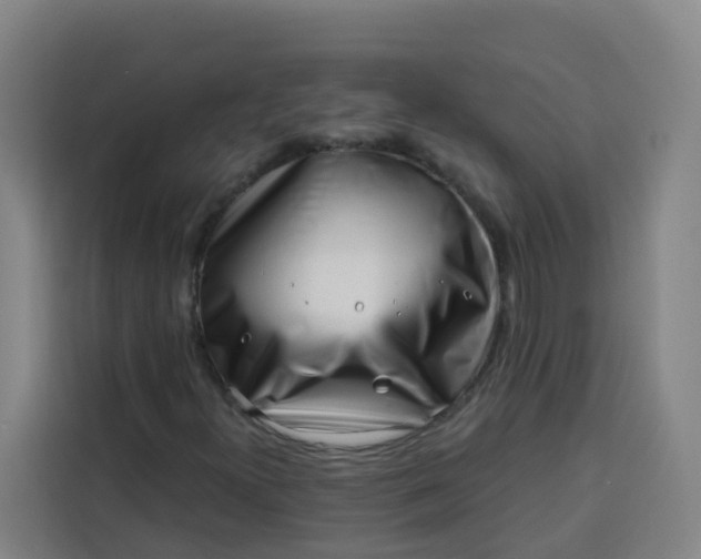 X0000113531300200910021321