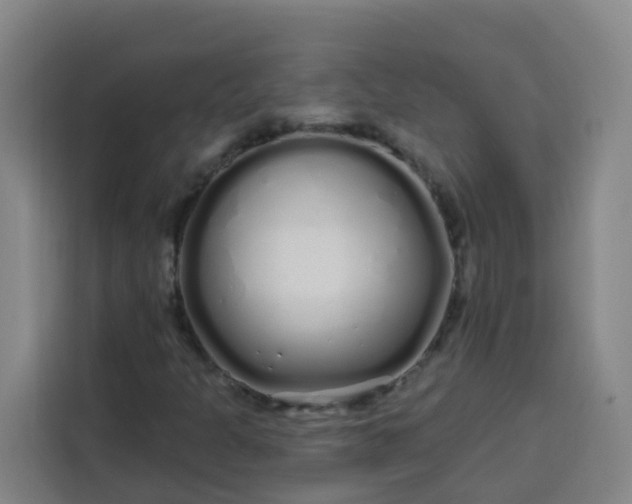 X0000113531301200910021321