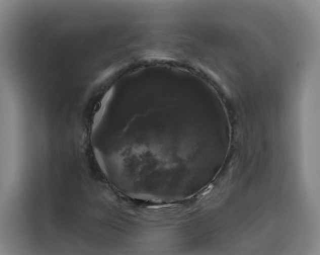 X0000113531303200910021321