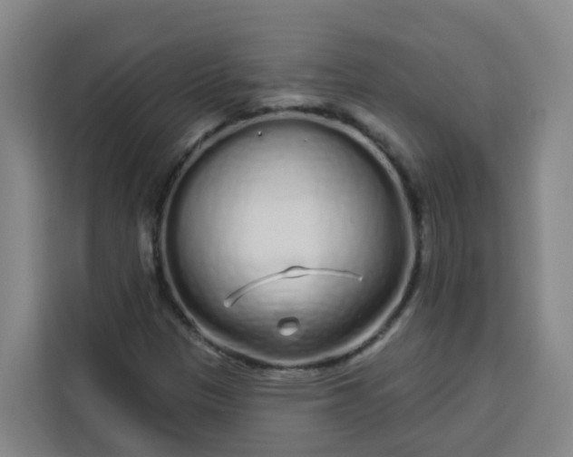 X0000113531305200910021321