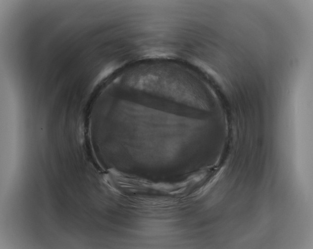 X0000113531306200910021321