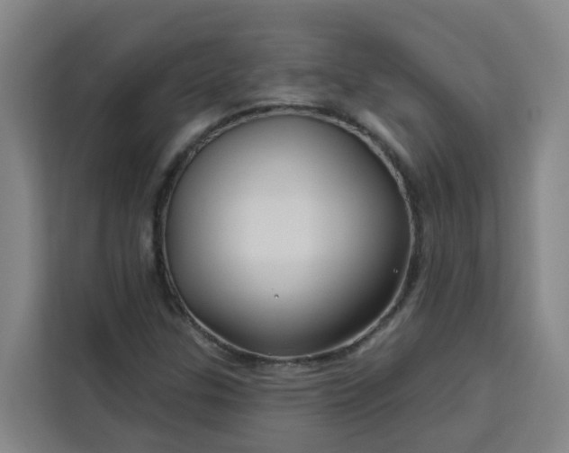 X0000113531307200910021321