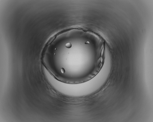 X0000113531308200910021321