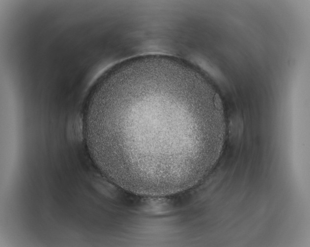 X0000113531310200910021321