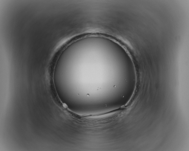 X0000113531311200910021321