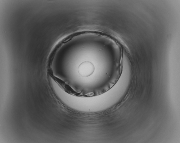 X0000113531312200910021321