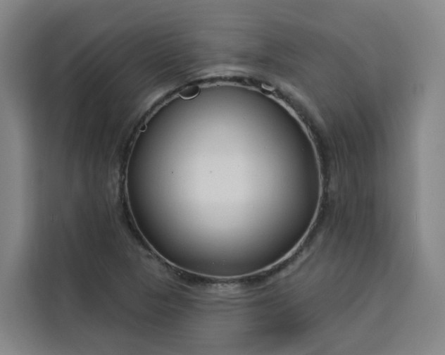 X0000113531313200910021321