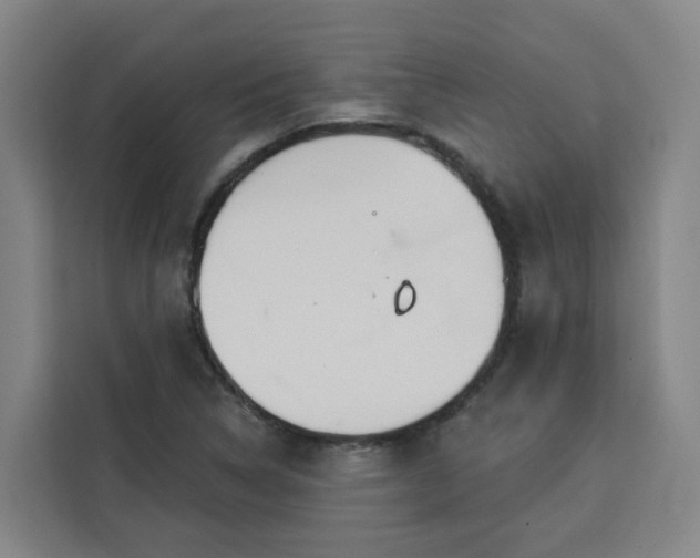 X0000113531314200910021321